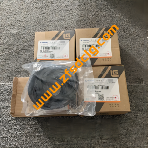 Liugong Loader wheel loader CLG835 spare SP103881 brake caliper repair kit mechanical repair factory, construction engineering for sale