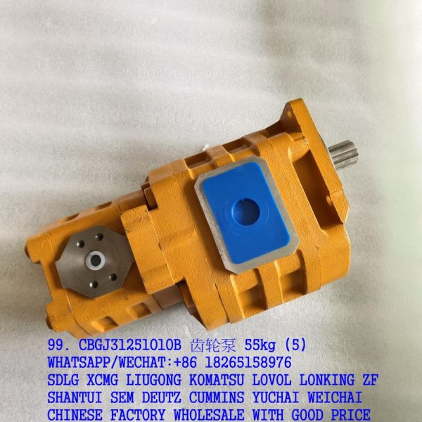 99. CBGJ3125/1010B 齿轮泵 55kg (5)
