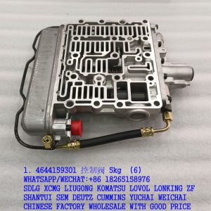 1. 4644159301 控制阀 5kg (6)