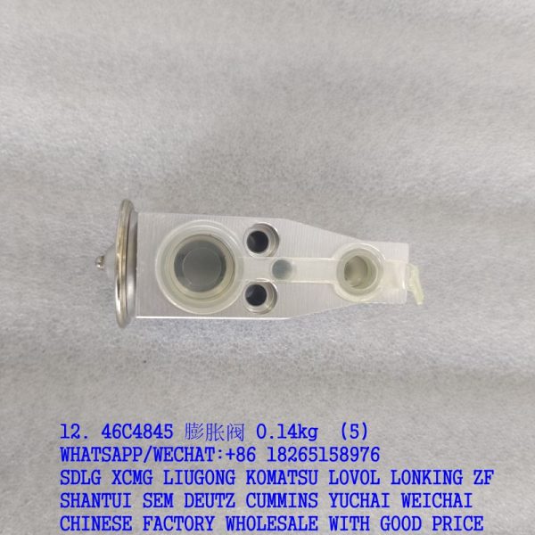 12. 46C4845 膨胀阀 0.14kg (5)