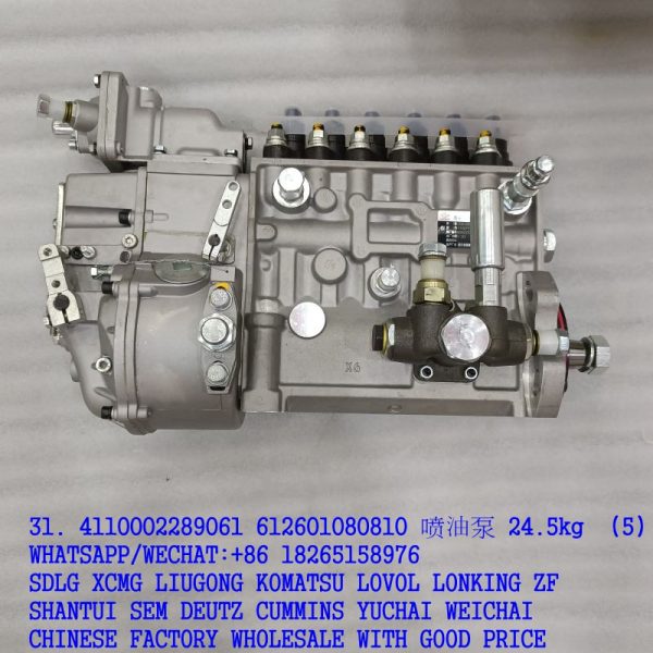 31. 4110002289061 612601080810 喷油泵 24.5kg (5)