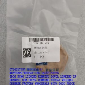 ZF GEARBOX PARTS 0734317252 PISTON RING 4110000076256 7200001478 SP100220
