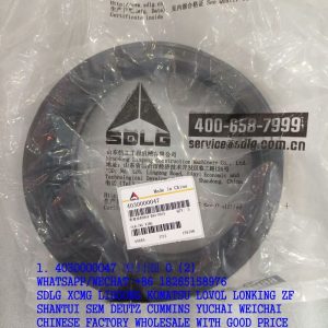 SDLG PARTS 4030000047 SEALING RING HG4-692-PD15