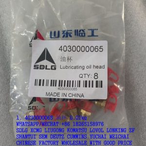 4030000065 Lubricating nipple JB7940.1-M10*1 Original SDLG spare parts for LG936L L956f L958f Wheel Loader