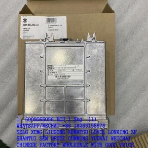 6009065056 ZF BOSCH CONTROL UNIT 6009 365 005 6009 065 056 6009365005