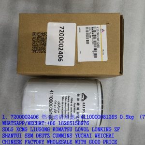 High quality 7200002406 4110000081265 fuel filter for SDLG LG933 LG933L
