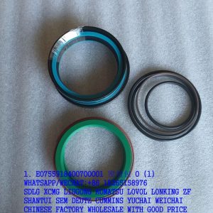 ZOOMLION PARTS E0755918400700001 SEALING RING KIT