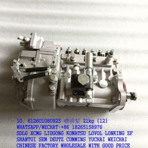 LONGBENG 612601080923 FUEL INJECTOR PUMP BHT6P120R FOR WEICHAI ENGINE