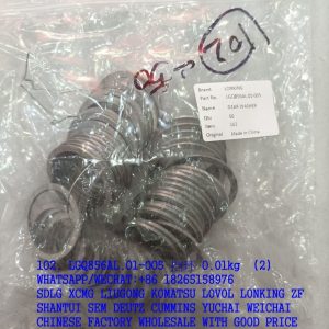 LGQ856AL.01-005 LONKING RETAINING RING 36402100084