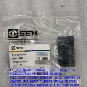 W110007470 5190901 Cover plate 8SQS.311.000 SEM LIUGONG spare parts