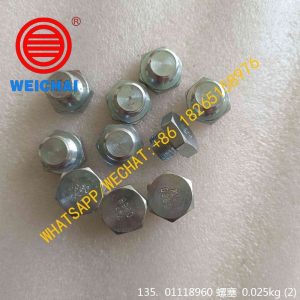 WEICHAI ENGINE PLUG 01118960 4110002247063