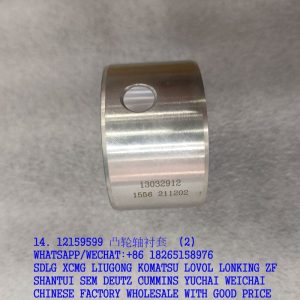 12159599 13032911 226B/WP6 Diesel Engine Camshaft Bush 13032912 4110000054295 SP105257 W010250250 Weichai Deutz