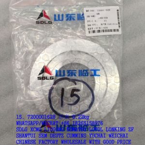 SDLG SPARE PARTS 7200001628 PISTON SP128480 4644 353 051 4644353062