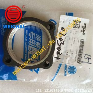 WEICHAI DEUTZ 12161831 Turbocharger Gasket WP4/WP6