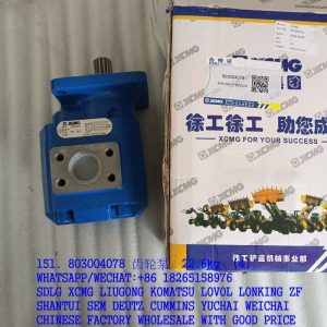 XCMG SPARE PARTS 803004078 GERA PUMP P5100-F100CX