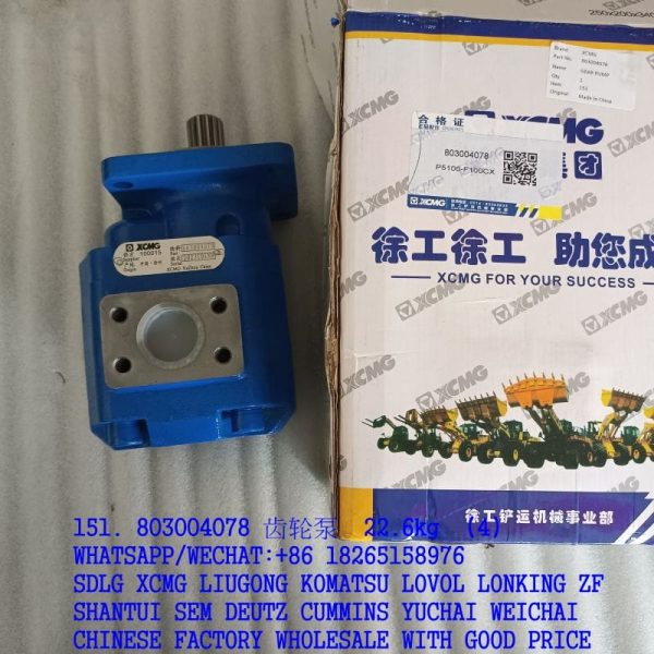 XCMG SPARE PARTS 803004078 GERA PUMP P5100-F100CX