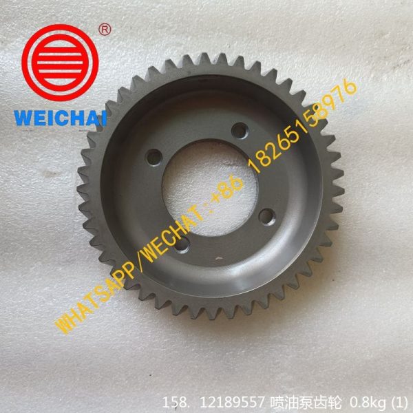 WEICHAI ENGINE 12189557 FUEL INJECTOR PUMP GEAR