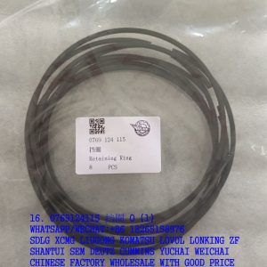 HANGZHOU ADVANCE TRANSMISSION 0769124115 RETAINING RING 0769 124 115