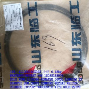 4110001903093 SDLG Retaining ring 76 101 033
