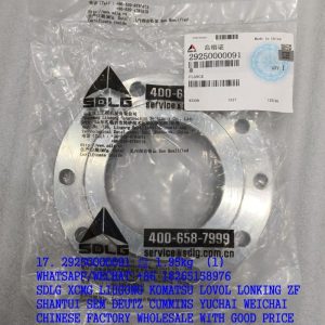 29250000091 connect disc ZL50F3.11-2 SDLG spare parts for LG956 LG955F
