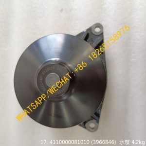 CUMMINS 6CT Engine C3966841 4110000081010 Water Pump