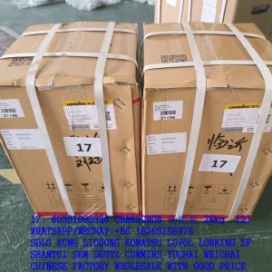 LONKING SPARE PARTS 60301000326 GEAR PUMP CBAK2080B CBH2080