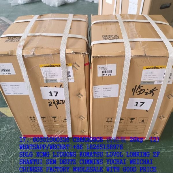 LONKING SPARE PARTS 60301000326 GEAR PUMP CBAK2080B CBH2080