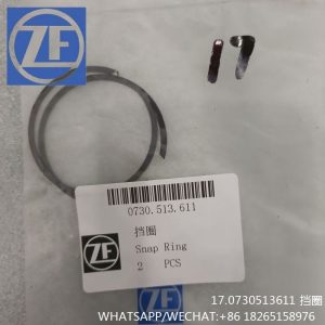 ZF TRANSMISSION PARTS 0730513611 SNAP RING 0630501024 4110000076153