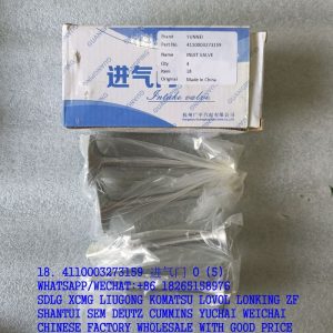 YUNNEI POWER 4110003273159 INTAKE VALVE FOR SDLG