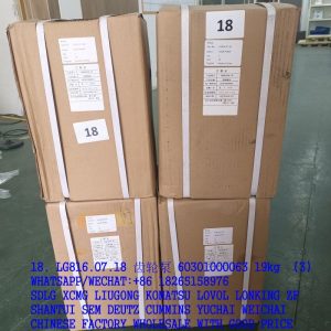 LONKING SPARE PARTS LG816.07.18 GEAR PUMP CBAP2050 60301000063 W-0100133 CBGj2050 11C0053