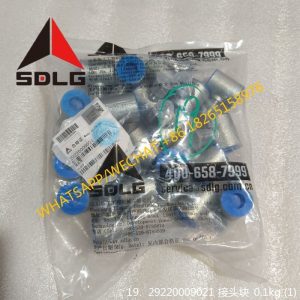 SDLG LG956N 29220009021 BLOCK