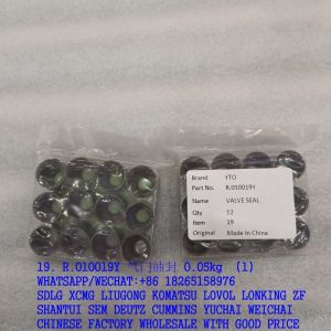 R.010019Y YTO valve seal SP113851 for liugong spare parts