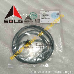 SDLG PARTS 2030900061 SEALING RING