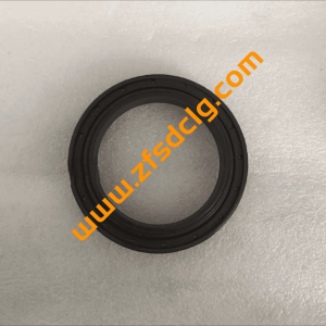 SDLG B877 Backhoe Loader Spare Parts 4110001923019 Sealing Ring FOR SALE