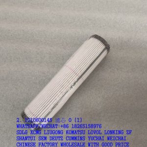 ZOOMLION SPARE PARTS 1010600145 FILTER ELEMENT HP1352D16AN