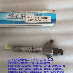 WEICHAI ENGINE PARTS 612600080611 COMMON RAIL INJECTOR 0445120213 0986AD1007 DLLA152P1768 0433172078