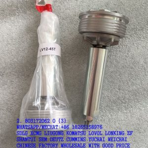 XCMG SPARE PARTS 803172062 CHECK VALVE LV12-45T A1-42252 VA12009A002A