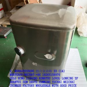 SINOTRUK HOWO TRUCK DIESEL FUEL TANK WG9925555690 WG9725550300