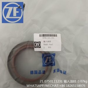 ZF TRANSMISSION PARTS 0750111231 SHAFT SEAL SP100246 LIUGONG CLG856