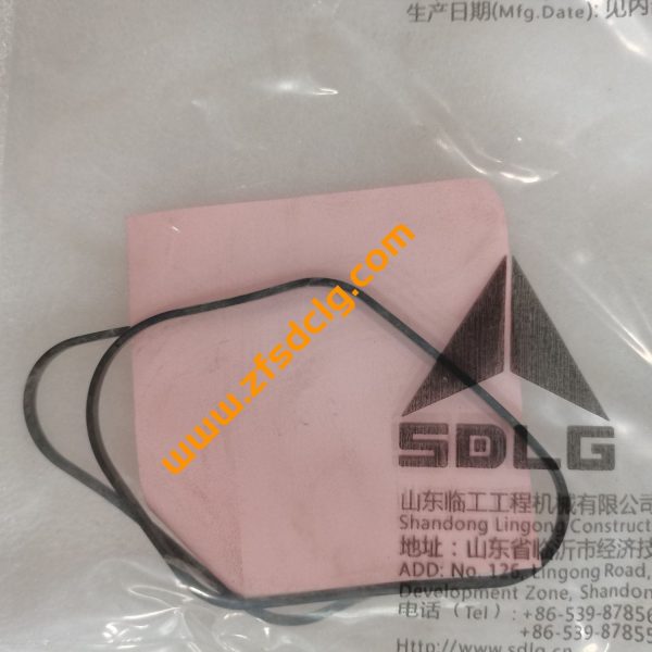 SDLG Excavator Spare parts 11211416 Ring Pilot Pump - Image 3