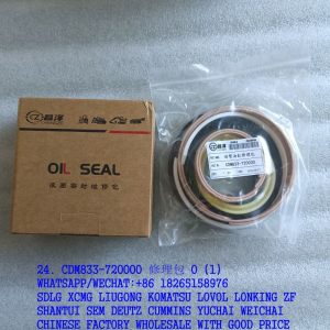 LONKING SPARE PARTS CDM833-720000 BOOM CYLINDER REPAIR KIT CDM843-720000
