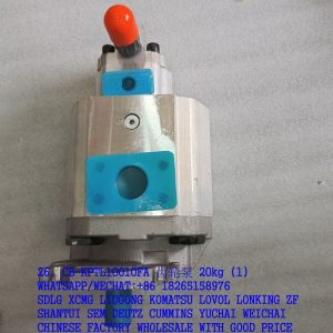 KEYUAN CB-KPTL100/10FA GEAR PUMP 112050013 1706T00004