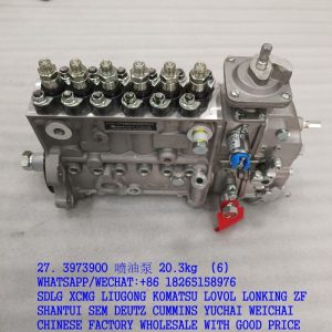 3973900 Fuel injection pump C3973900 EBHF6P120305 for DCEC CUMMINS 6CT 8.3 6CTA8.3-C215 spare parts