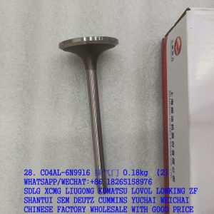 C04AL-6N9916 6N9916 SDEC engine exhaust valve 04AL603 4110000186107 4110001003076