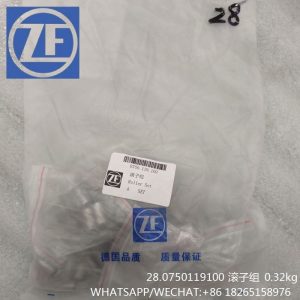 0750119100 ROLLER SET 0750 119 100 FOR ZF PARTS