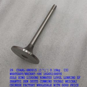 C04AL-6N9915 SDEC Intake Valve 6N9915 4110000186106 for XCMG SDLG spare parts