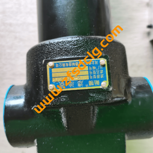XCMG XC750K Mini Skid Steer Loader Parts 803409669 PLF-C80*10P HIGH PRESSURE FILTER FOR SALE - Image 4
