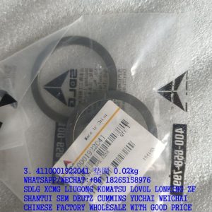 4110001922041 SDLG B877 washer