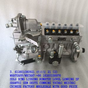 LONGBENG FUEL INJECTOR PUMP 612601080921 BP120G4 BHT6P120R WEICHAI ENGINE PARTS