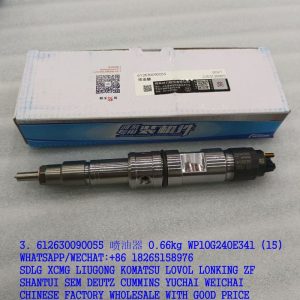 WEICHAI FUEL INJECTOR 612630090055 FOR WP10G240E341